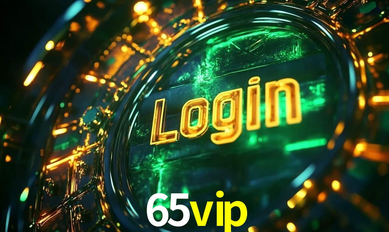 Segurança e privacidade no APP 65vip